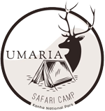 Umaria Safari Camp Kanha